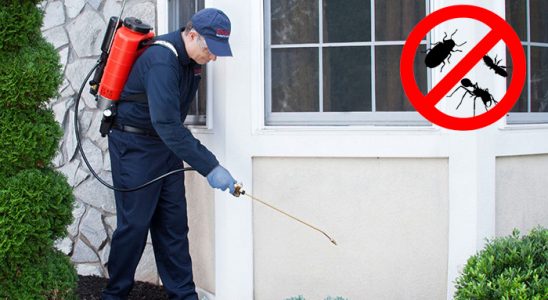 Akçadağ Dezenfeksiyon böcek ilaçlama ve haşere kontrolü — ilaclama-tr.com